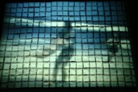 淚的洪流 II藏品圖，第1張