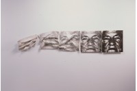 生命的皺紋藏品圖，第1張