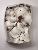 房裡，抽屜用強壯的外殼藏匿鎖碎的真實藏品圖，第5張