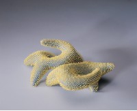 毛毛朋友藏品圖，第1張