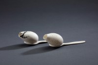 巢藏品圖，第1張