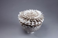 白種子莢藏品圖，第1張