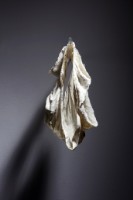 暴力樹系列(七)藏品圖，第1張