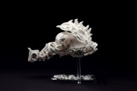 骨感時刻藏品圖，第1張