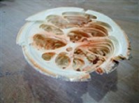 茶池 VI的圖片