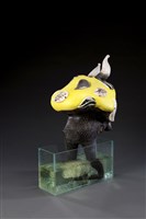 水生植物藏品圖，第1張