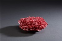 海葵藏品圖，第1張