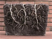 主畫面1藏品圖，第1張