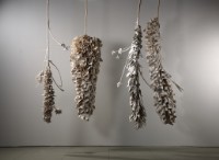 虔敬的花期的圖片