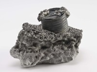 罐藏品圖，第1張