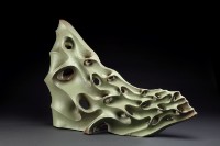 另一種植物(1)的圖片