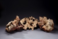 剩餘物品藏品圖，第1張