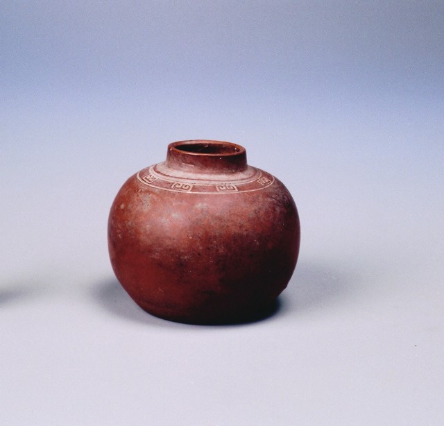 Preserved Tangerine Peel Jar(Small)