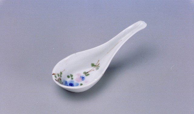 Spoon in various style