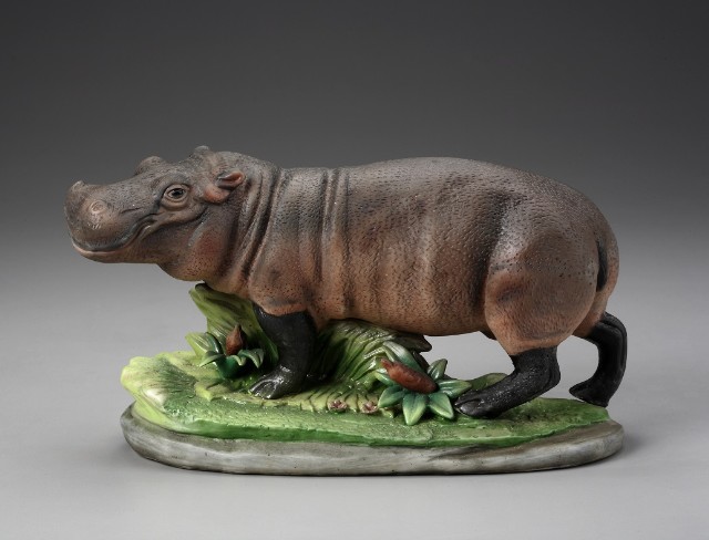 Hippo