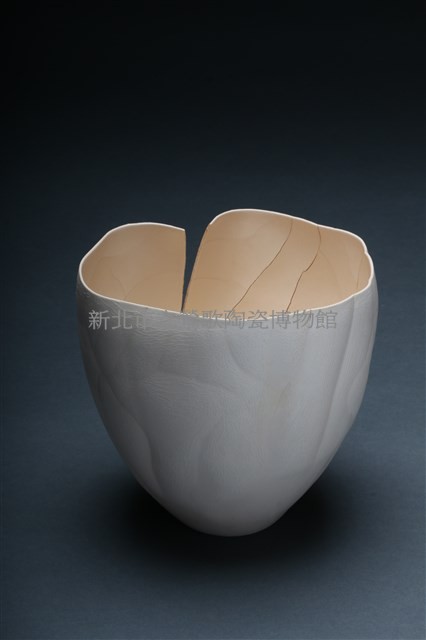 Torn Asunder Collection Image