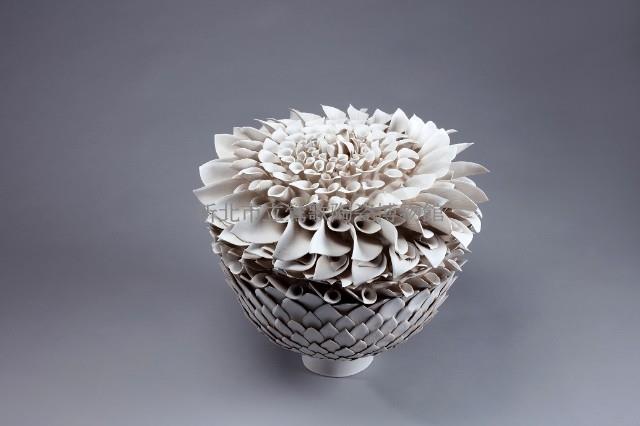 白種子莢藏品圖，第1張