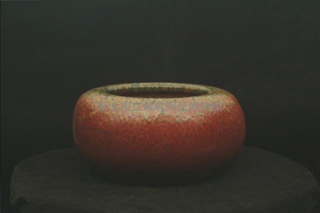 Honesty: Sweet Dews Collection Image