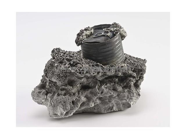 罐藏品圖，第1張