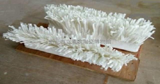 海草藏品圖，第1張