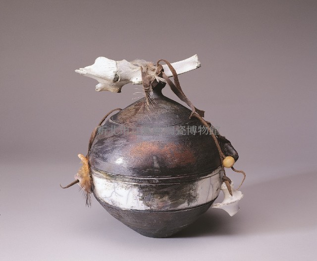 巫醫罐藏品圖，第1張