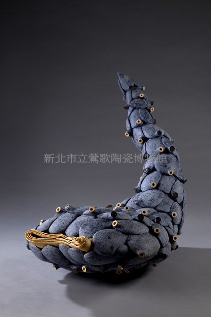 Turbellar Collection Image