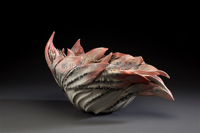 生物（核心）藏品圖，第1張