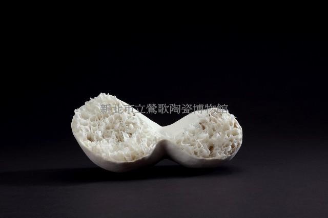 放射蟲藏品圖，第1張