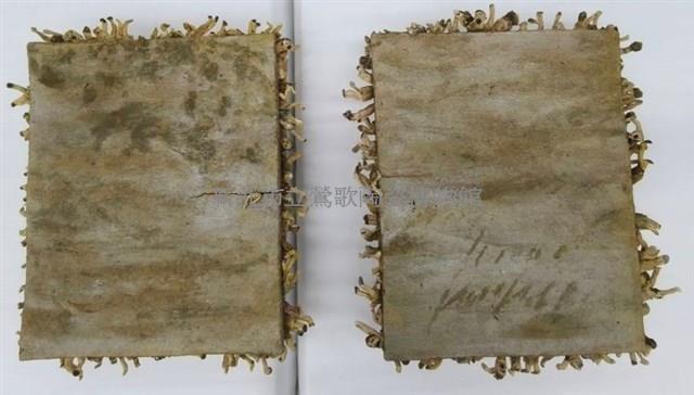 夾心餅藏品圖，第1張