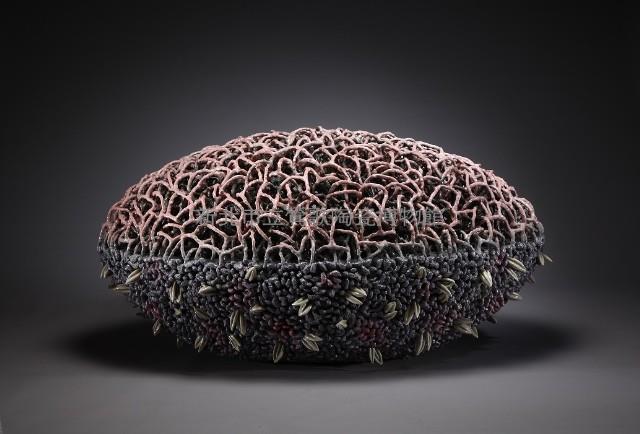 Sea Forest Collection Image