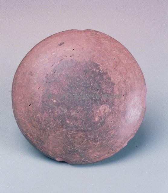 Jar Lid Collection Image