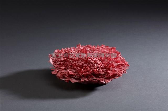 海葵藏品圖，第1張