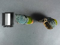 彩繡弓鞋藏品圖，第2張