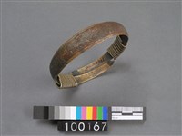 腳環藏品圖，第1張