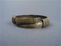 腳環藏品圖，第6張