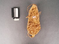 草鞋(左鞋)藏品圖，第1張