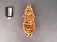 草鞋(右鞋)藏品圖，第1張