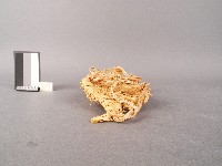 草鞋(右鞋)藏品圖，第2張