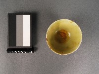 綠釉茶杯藏品圖，第2張