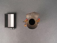 錫爵藏品圖，第2張