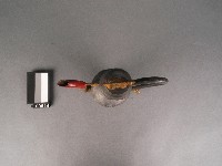 錫酒壺藏品圖，第2張