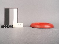 木杯墊藏品圖，第2張