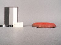 木杯墊藏品圖，第2張