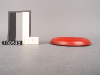 木杯墊藏品圖，第2張