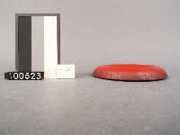 木杯墊藏品圖，第2張