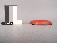 木杯墊藏品圖，第2張