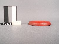 木杯墊藏品圖，第2張