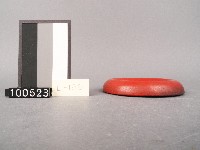 木杯墊藏品圖，第2張