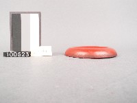 木杯墊藏品圖，第2張