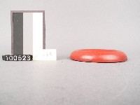 木杯墊藏品圖，第2張